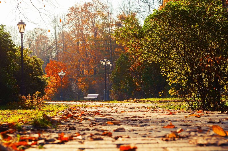 Places to visit in autumn in Madrid